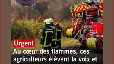 Incendie en Gironde : cet agriculteur défend la mobilisation des bénévoles face aux flammes