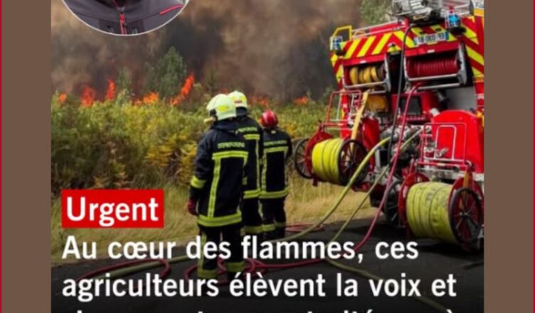 Incendie en Gironde : cet agriculteur défend la mobilisation des bénévoles face aux flammes