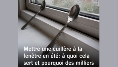 Ni le réfrigérateur ni le déshumidificateur : pourquoi une simple cuillère sur la fenêtre intrigue autant Ni le réfrigérateur ni le déshumidificateur : pourquoi une simple cuillère sur la fenêtre intrigue autant