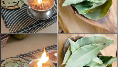 Laurier en combustion : ce que votre maison gagne à adopter ce rituel oublié