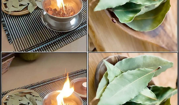 Laurier en combustion : ce que votre maison gagne à adopter ce rituel oublié