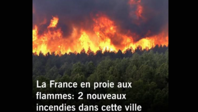 11 hectares de la forêt de Fontainebleau ravagés par deux nouveaux feux