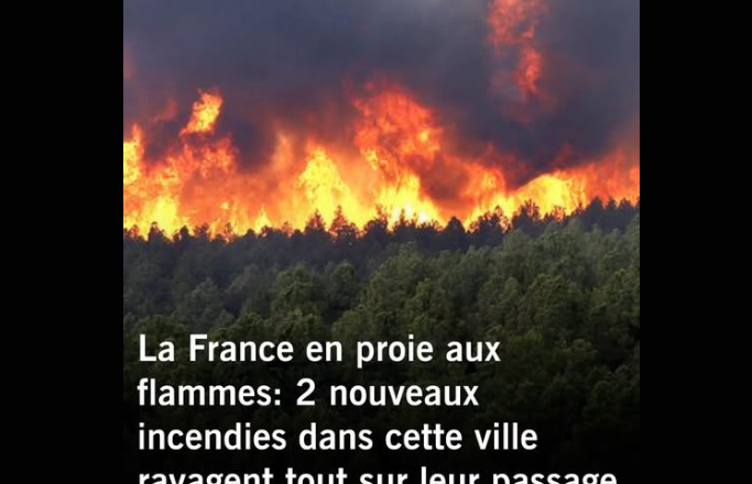 11 hectares de la forêt de Fontainebleau ravagés par deux nouveaux feux