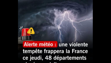 Orages : 48 départements restent placés en vigilance jaune pour cette journée de jeudi
