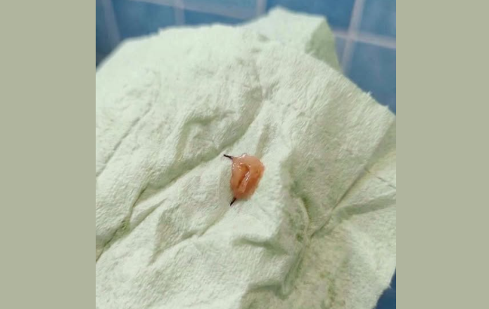 Elle sort de la douche et découvre un objet étrange dans sa salle de bains : personne ne parvient à l’identifier