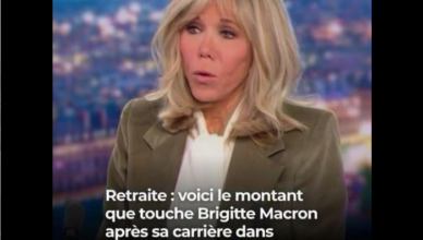 Une première dame au parcours professionnel souvent méconnu