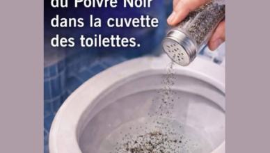 Pourquoi jeter du poivre noir dans la cuvette des toilettes intrigue de plus en plus