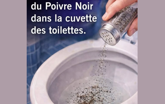 Pourquoi jeter du poivre noir dans la cuvette des toilettes intrigue de plus en plus